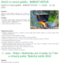 babicky_kotlik2016